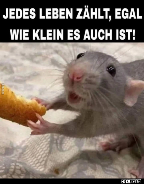 Jedes Leben zählt, egal wie klein es auch ist!