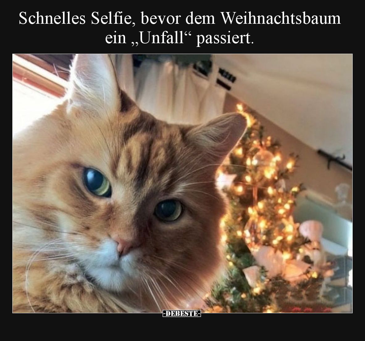 Schnelles Selfie, bevor dem Weihnachtsbaum ein „Unfall“ passiert.