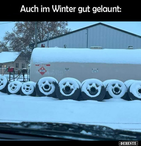 Auch im Winter gut gelaunt.. - Lustige Bilder | DEBESTE.de