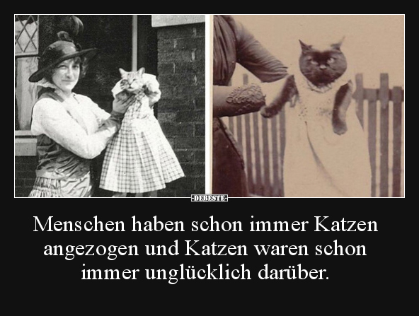 Menschen haben schon immer Katzen angezogen und Katzen.. - Lustige Bilder | DEBESTE.de