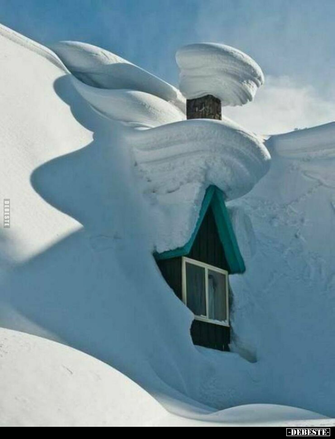  - Lustige Bilder | DEBESTE.de