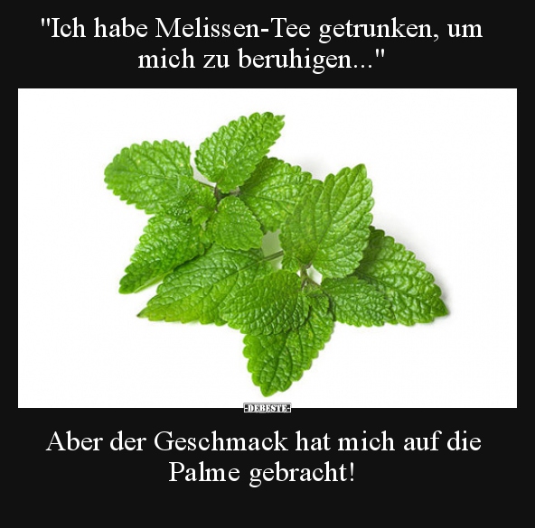 "Ich habe Melissen-Tee getrunken, um mich zu beruhigen...".. - Lustige Bilder | DEBESTE.de