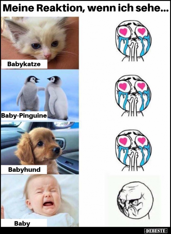 Meine Reaktion, wenn ich sehe...