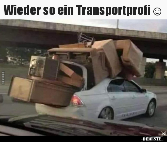 Wieder so ein Transportprofi☺.. - Lustige Bilder | DEBESTE.de