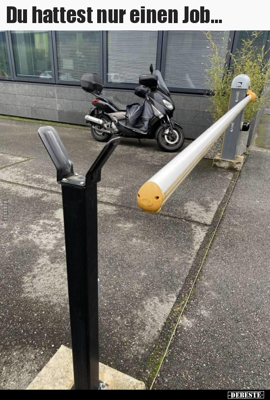 Du hattest nur einen Job...