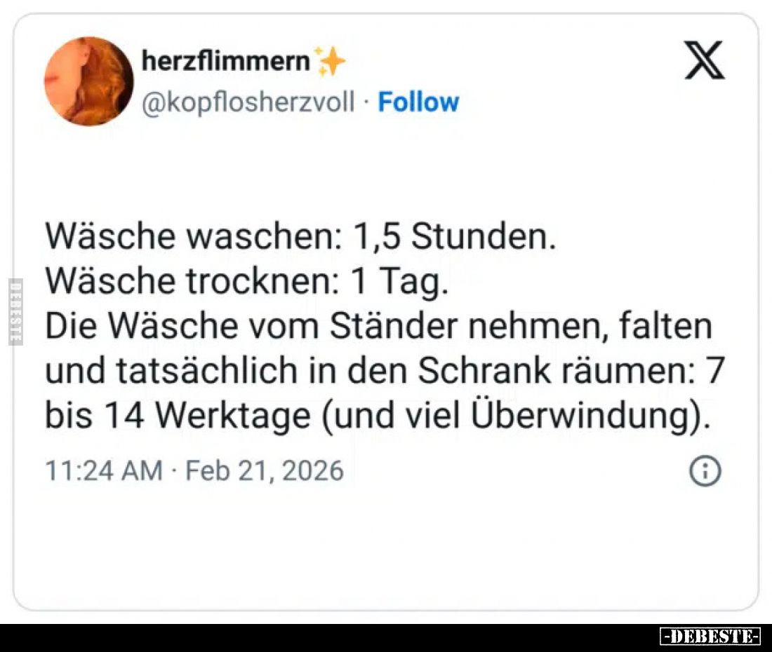 Wäsche waschen: 1,5 Stunden.
Wäsche trocknen: 1 Tag.
Die Wäsche vom Ständer nehmen, falten und tatsächlich in den Schrank r...