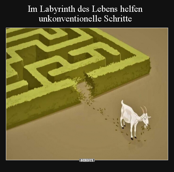 Im Labyrinth des Lebens helfen unkonventionelle.. - Lustige Bilder | DEBESTE.de