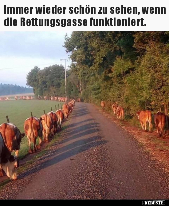 Immer wieder schön zu sehen, wenn die Rettungsgasse..