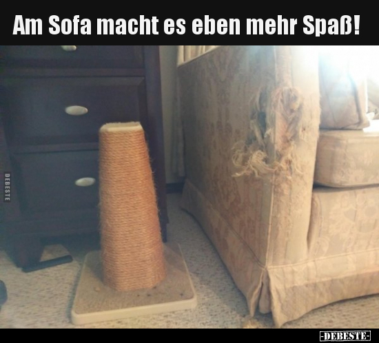 Am Sofa macht es eben mehr Spaß!.. - Lustige Bilder | DEBESTE.de