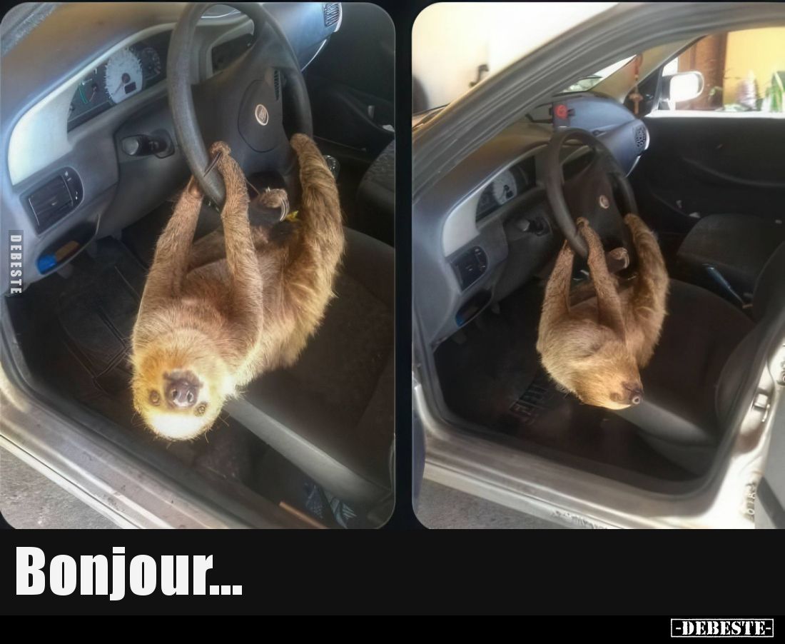Bonjour...