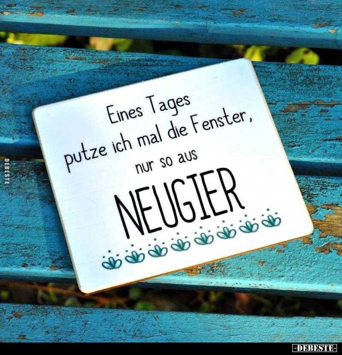 Eines Tages putze ich mal die Fenster, nur so aus NEUGIER.