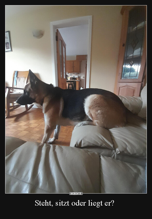 Steht, sitzt oder liegt er?