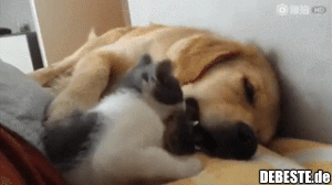 Lass mich eindlich in Ruhe!