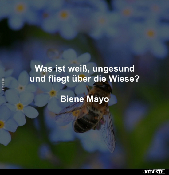 Was ist weiß, ungesund und fliegt über die Wiese?.. - Lustige Bilder | DEBESTE.de