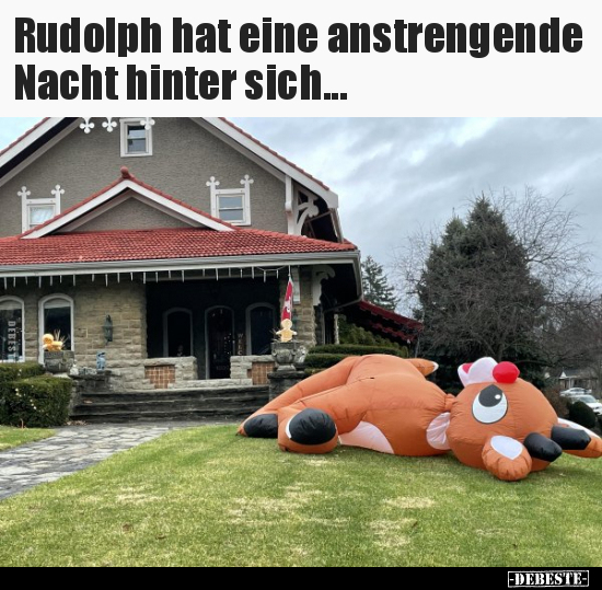 Rudolph hat eine anstrengende Nacht hinter sich... - Lustige Bilder | DEBESTE.de