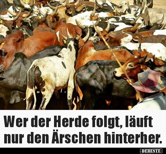 Wer der Herde folgt, läuft nur den Ärschen hinterher...