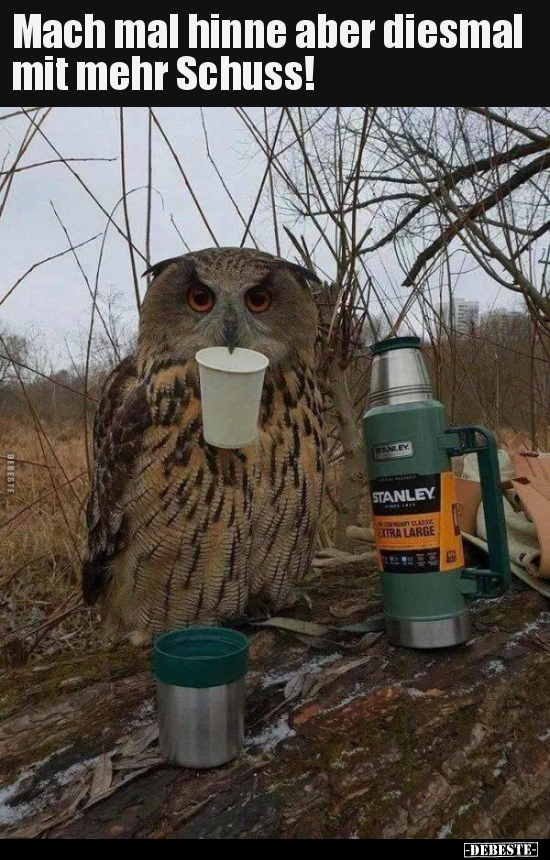 Mach mal hinne aber diesmal mit mehr Schuss!..