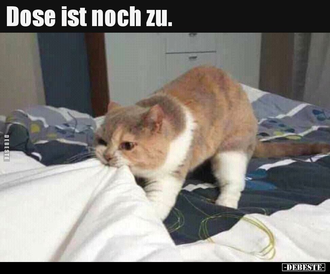 Dose ist noch zu...