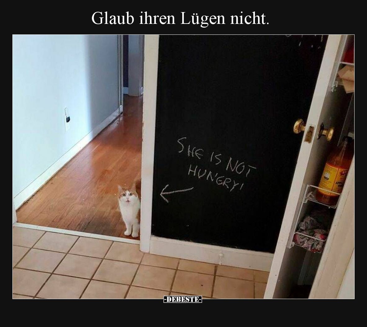Glaub ihren Lügen nicht.