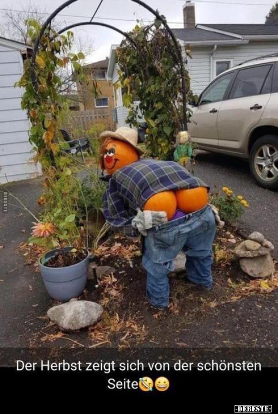 Der Herbst zeigt sich von der schönsten Seite.. - Lustige Bilder | DEBESTE.de