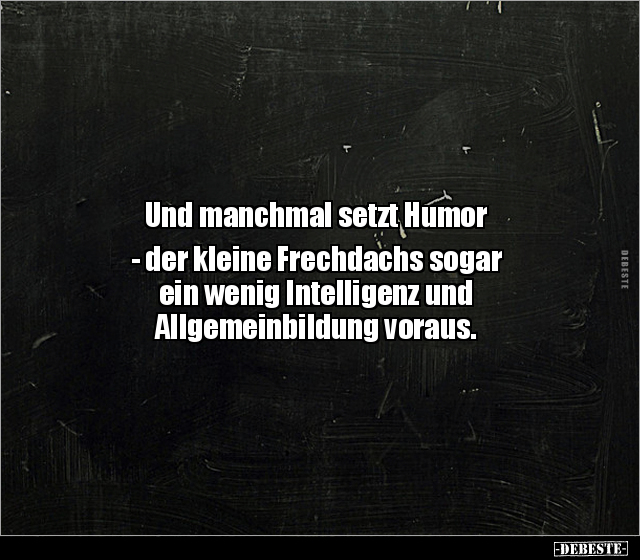 Und manchmal setzt Humor - der kleine Frechdachs sogar.. - Lustige Bilder | DEBESTE.de