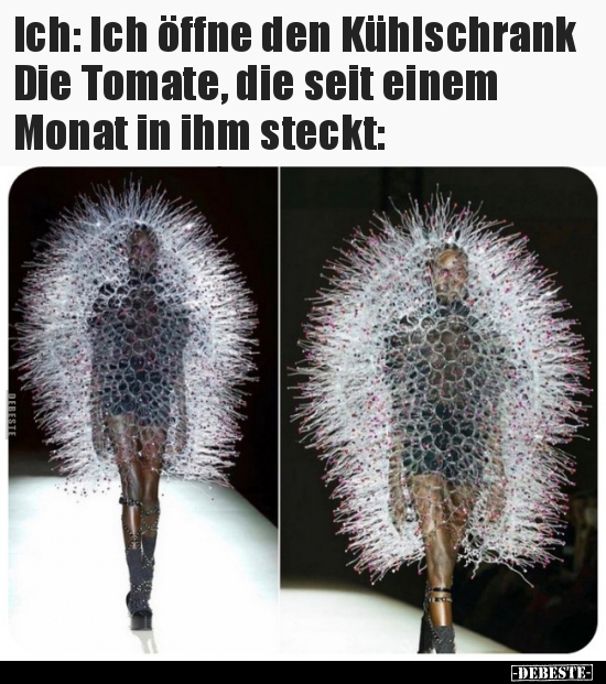 Ich: Ich öffne den Kühlschrank Die Tomate, die seit einem.. - Lustige Bilder | DEBESTE.de