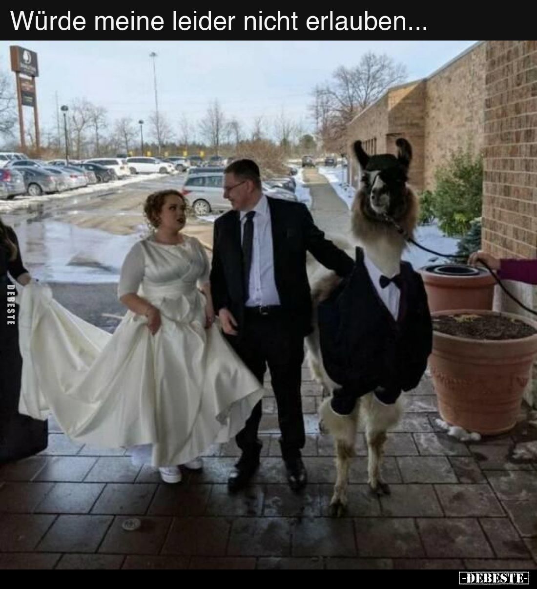 Würde meine leider nicht erlauben...