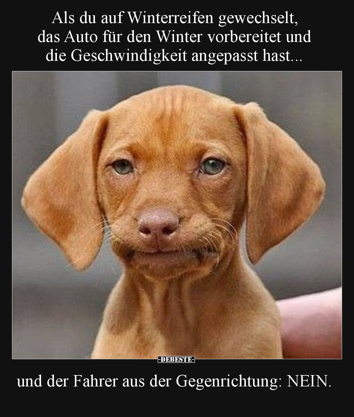 Als du auf Winterreifen gewechselt, das Auto für den Winter vorbereitet und die Geschwindigkeit angepasst hast – und der Fahr...