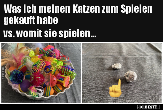 Was ich meinen Katzen zum Spielen gekauft habe... - Lustige Bilder | DEBESTE.de