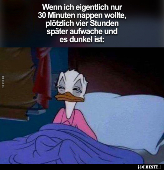 Wenn ich eigentlich nur 30 Minuten nappen wollte.. - Lustige Bilder | DEBESTE.de