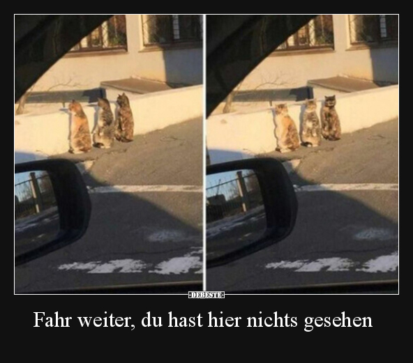 Fahr weiter, du hast hier nichts gesehen.. - Lustige Bilder | DEBESTE.de