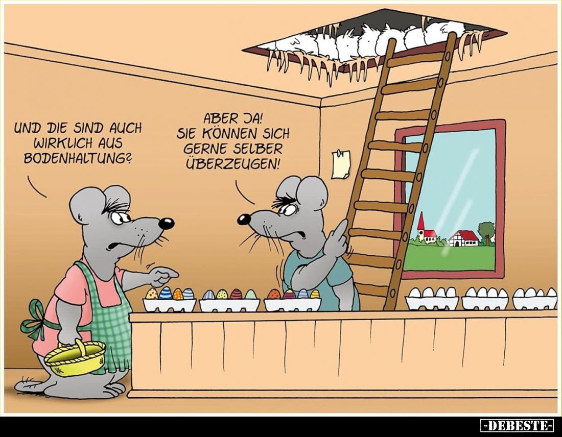 Und die sind auch wirklich aus Bodenhaltung?
Aber ja! Sie können sich gerne selber überzeugen!