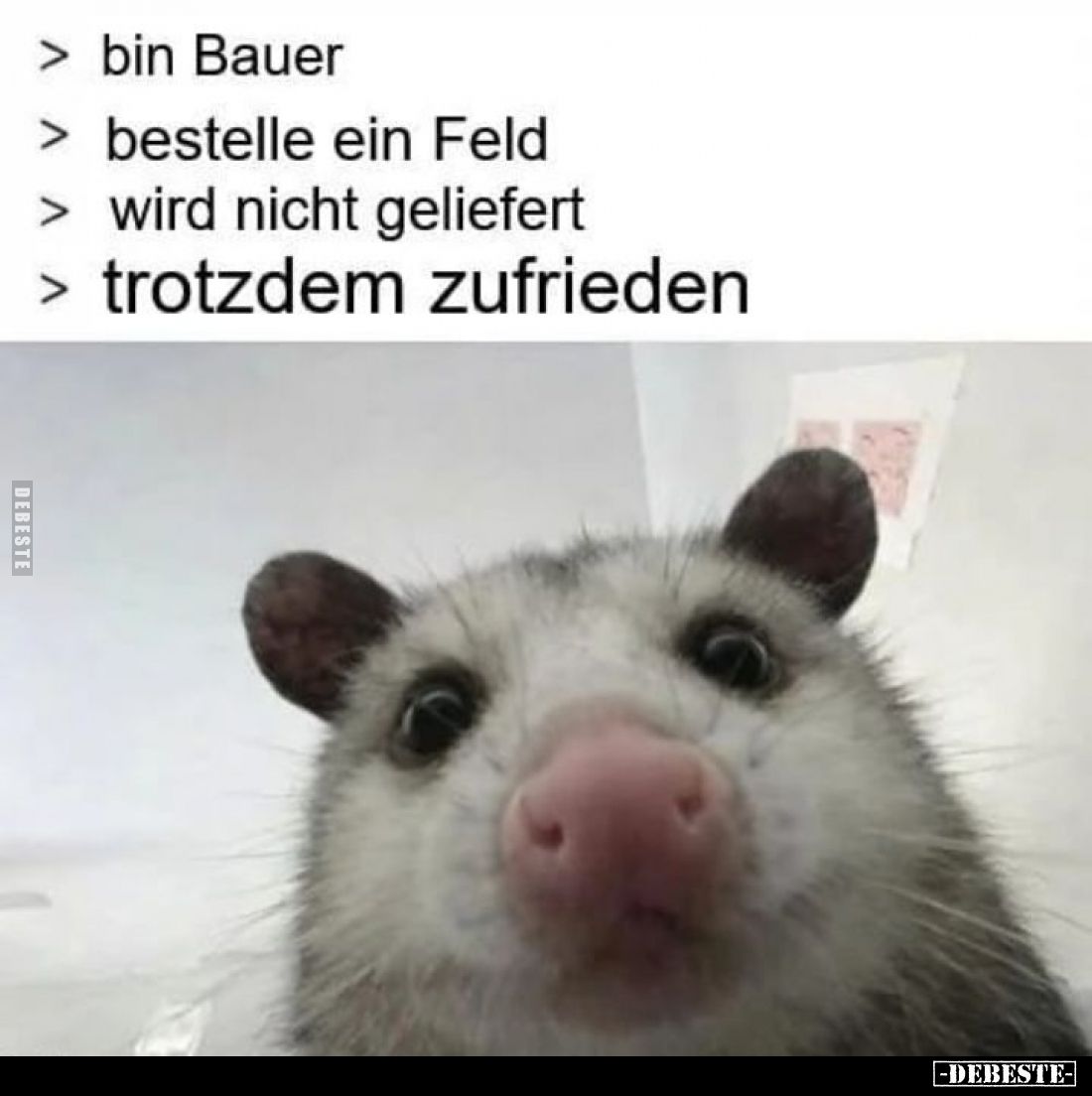  - Lustige Bilder | DEBESTE.de