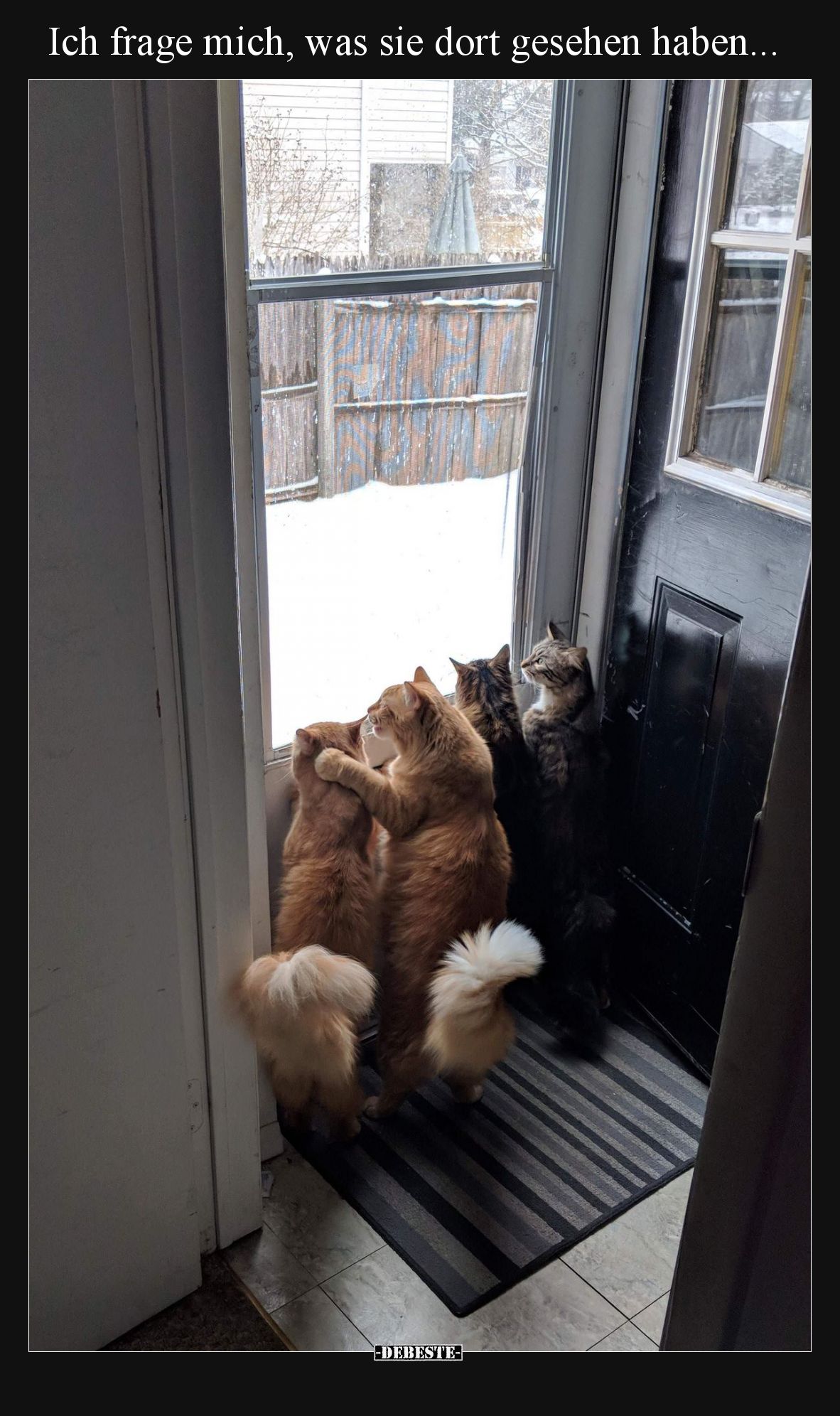 Ich frage mich, was sie dort gesehen haben... - Lustige Bilder | DEBESTE.de