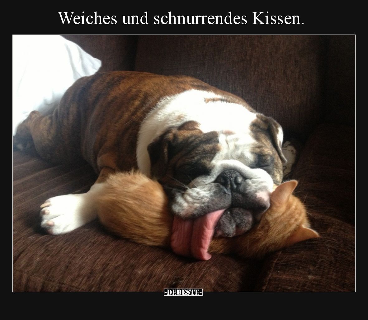 Weiches und schnurrendes Kissen.