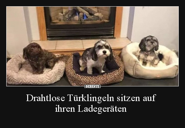 Drahtlose Türklingeln sitzen auf ihren Ladegeräten.. - Lustige Bilder | DEBESTE.de
