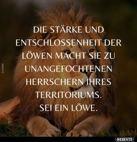 Die Stärke und Entschlossenheit der Löwen macht sie zu.. - Lustige Bilder | DEBESTE.de