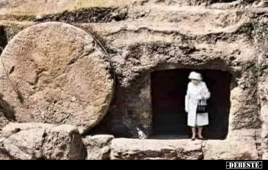  - Lustige Bilder | DEBESTE.de