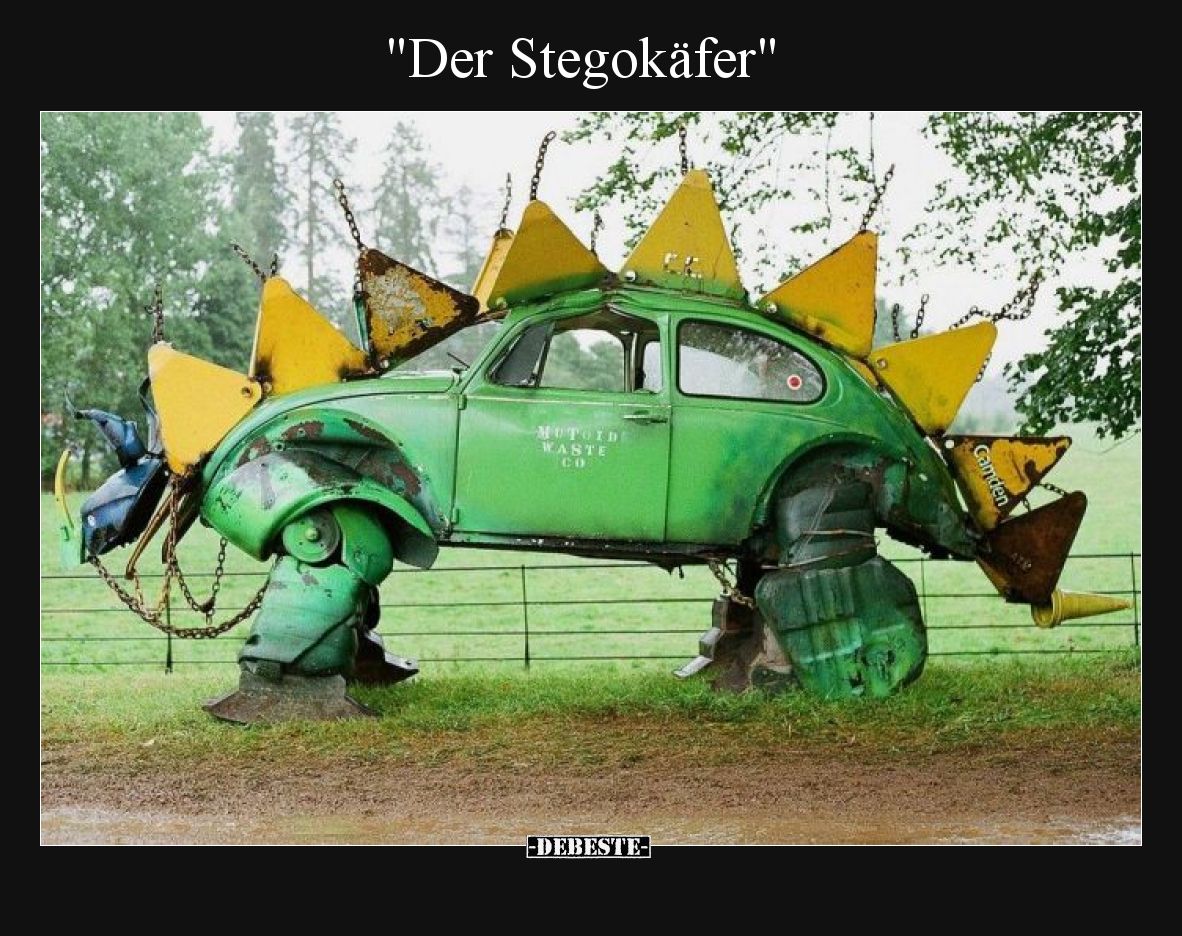 "Der Stegokäfer"