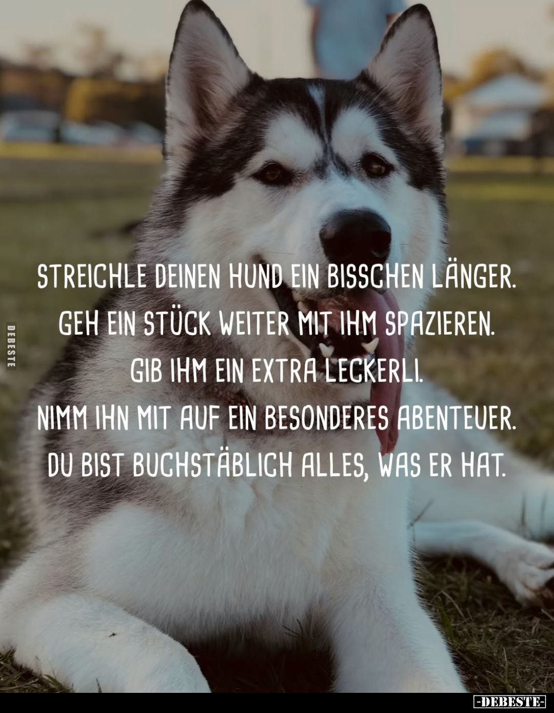 Streichle deinen Hund ein Bisschen länger... - Lustige Bilder | DEBESTE.de