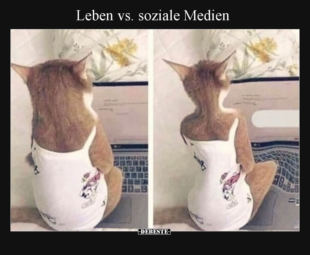 Leben vs. soziale Medien