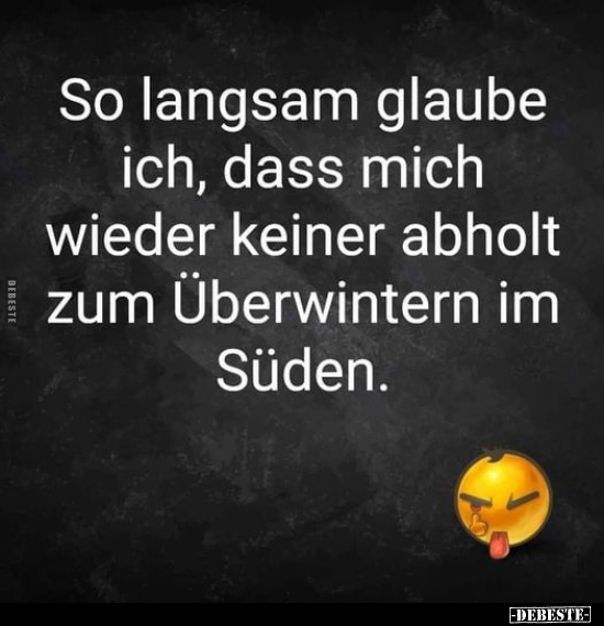 So langsam glaube ich, dass mich wieder keiner abholt zum..