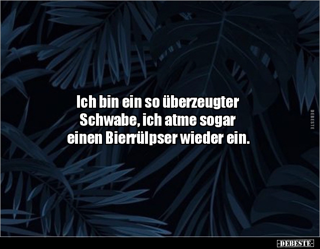 Ich bin ein so überzeugter Schwabe, ich atme sogar.. - Lustige Bilder | DEBESTE.de