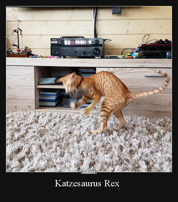 Katzesaurus Rex.. - Lustige Bilder | DEBESTE.de