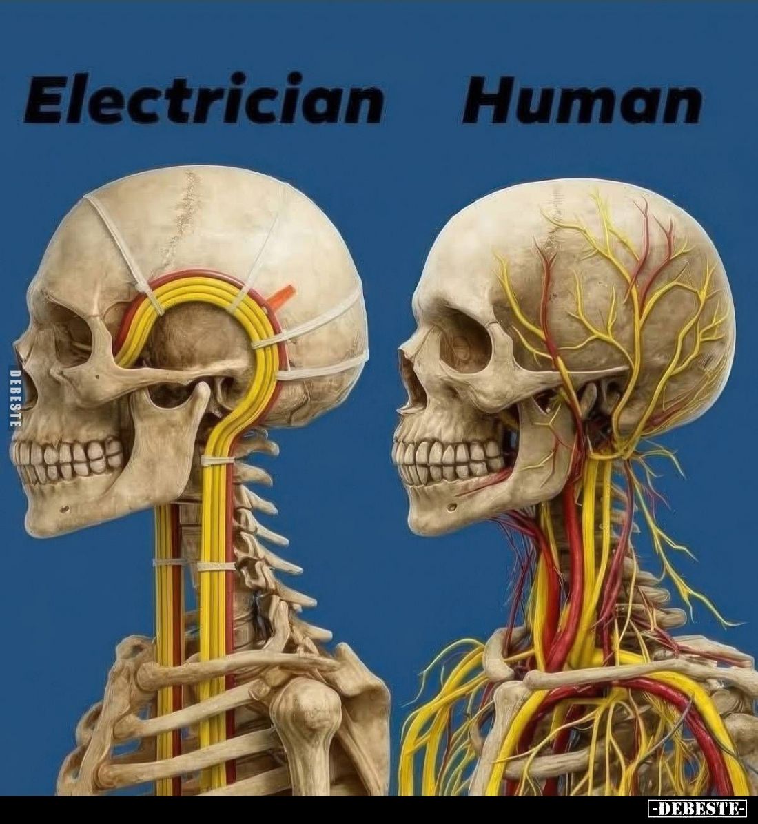  - Lustige Bilder | DEBESTE.de