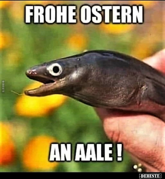 Frohe Ostern an Aale!.. - Lustige Bilder | DEBESTE.de