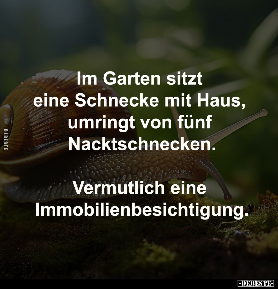 Im Garten sitzt 
eine Schnecke mit Haus, 
umringt von fünf 
Nacktschnecken.

Vermutlich eine 
Immobilienbesichtigung.