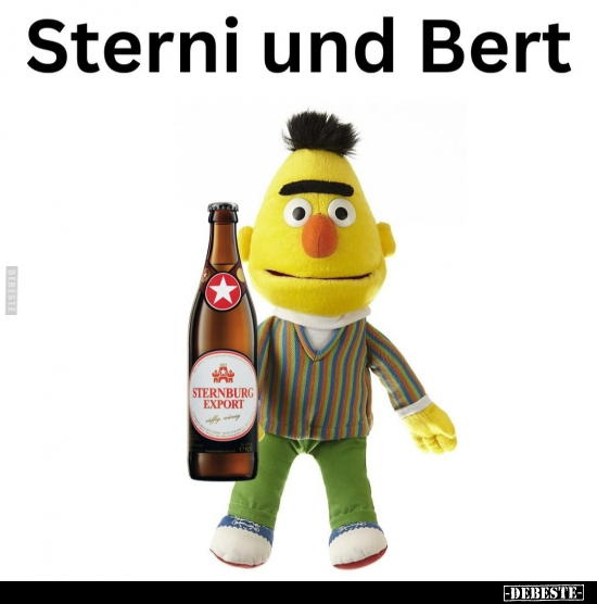 Sterni und Bert.. - Lustige Bilder | DEBESTE.de