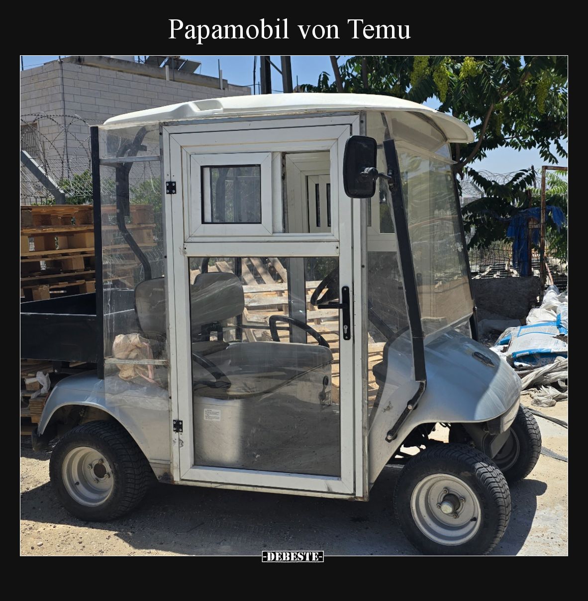 Papamobil von Temu