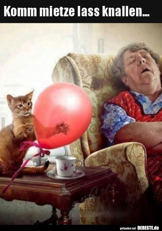 Komm mietze lass knallen...